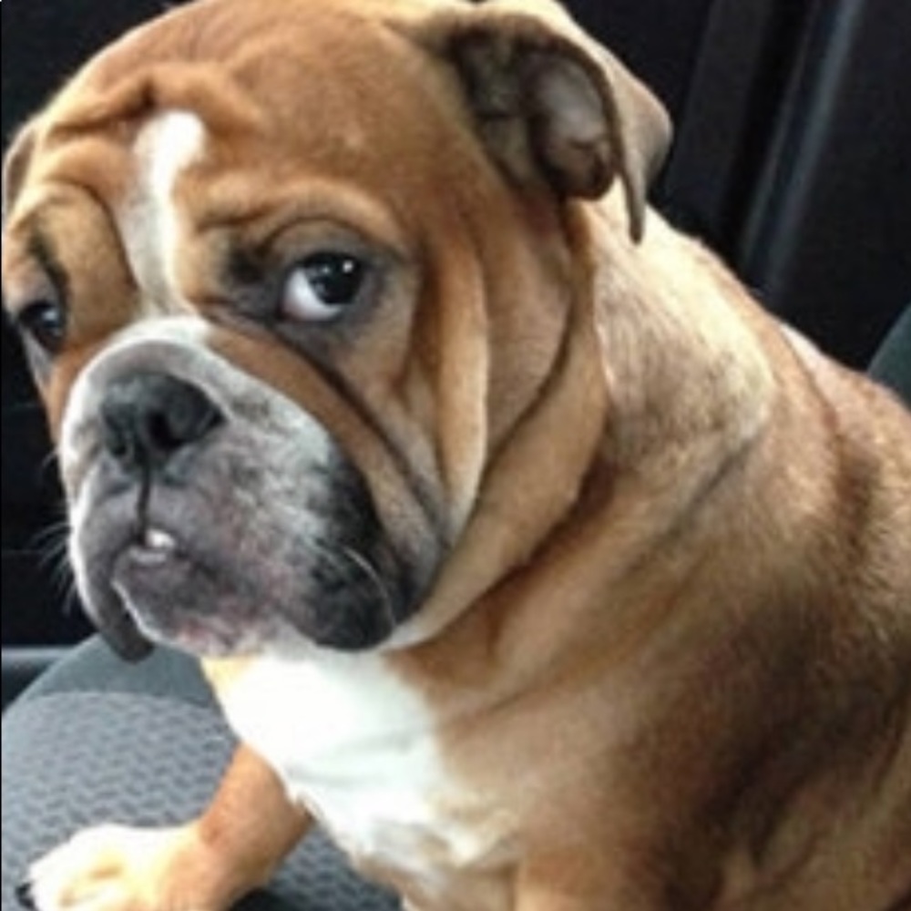 Meet your Posher, Kay